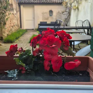 *** Bed and breakfast 19 Borgo Cavour Italia